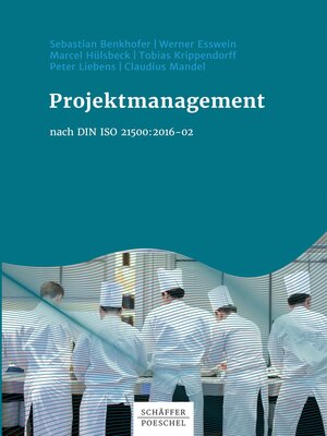 cover image of Projektmanagement nach DIN ISO 21500